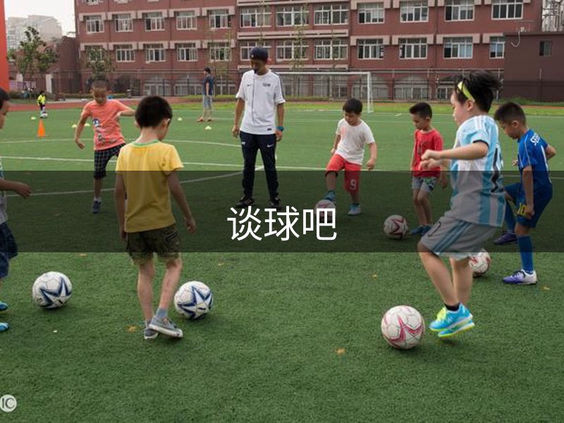 网站概况